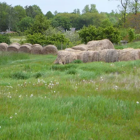 Haus Nina * Władysławowo